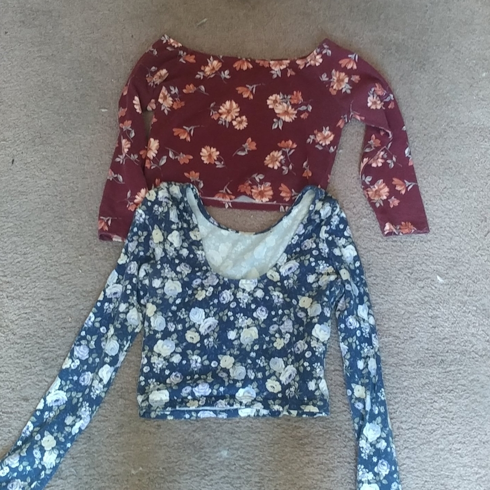 Two Forever 21 Crop Tops